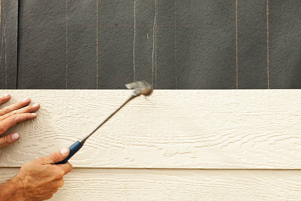 Best Custom Trim and Detailing for Siding  in Rlsbad, CA