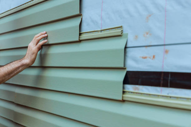 Best Vinyl Siding Installation  in Rlsbad, CA